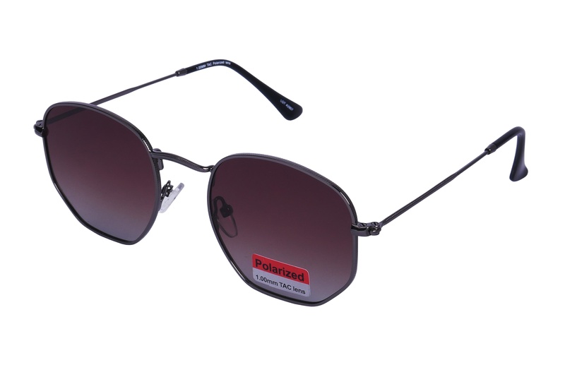 Polarview PV 10 D
