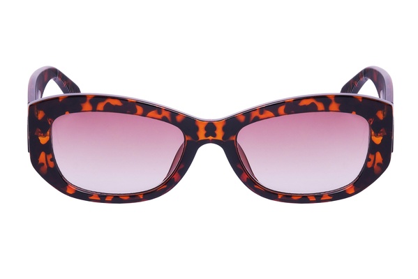 Trendy 2234 C6 55-18