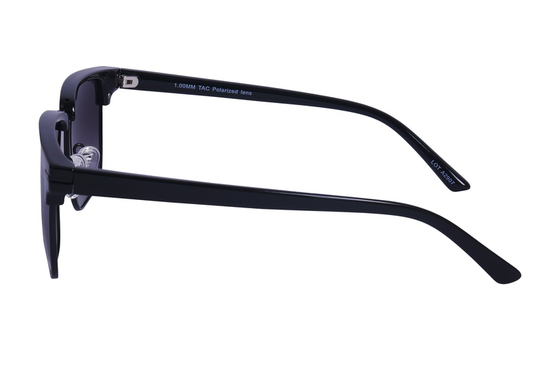Polarview PV 310 A
