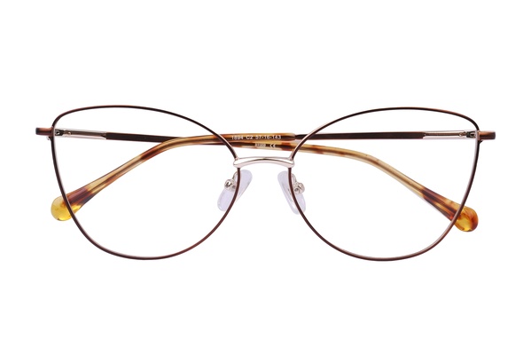 Diverso 1894 C2 57-16