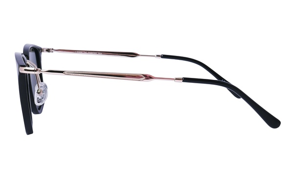 Polarview PV 302 A