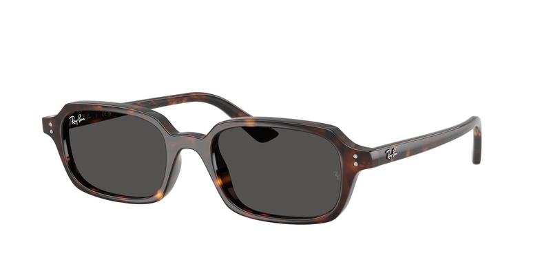 Rayban RB 4455 1359/87 52-19