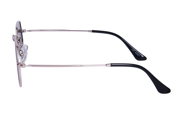 Polarview PV 110 A
