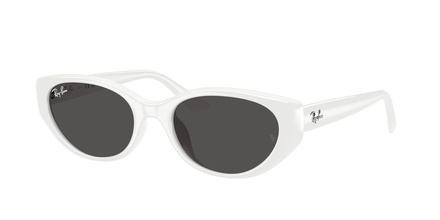 Rayban RB 4457D 6772/87 55-19