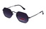 Polarview PV 110 C