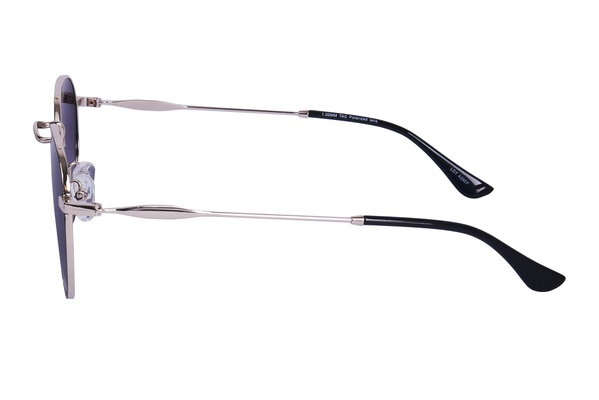 Polarview PV 710 D