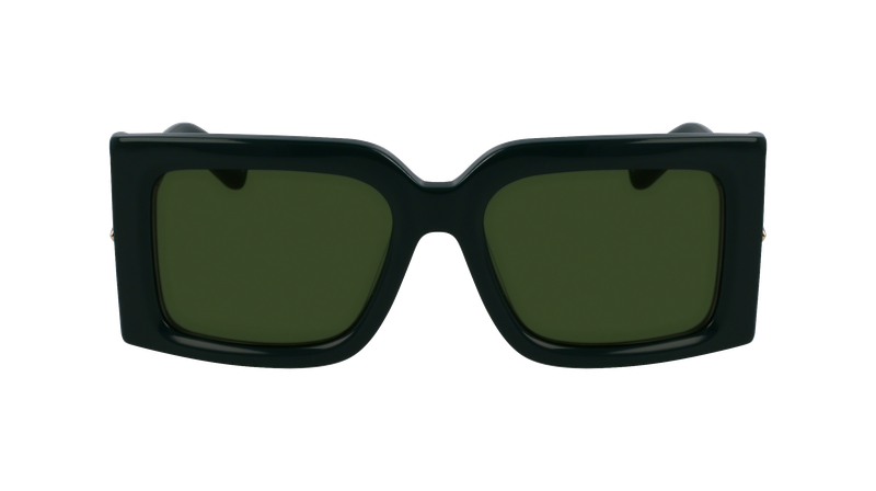 Ferragamo SF 2032S 302 55-19