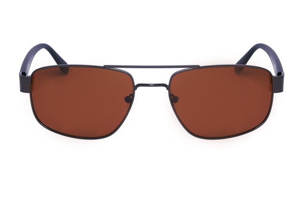 Polarview PV 520 C
