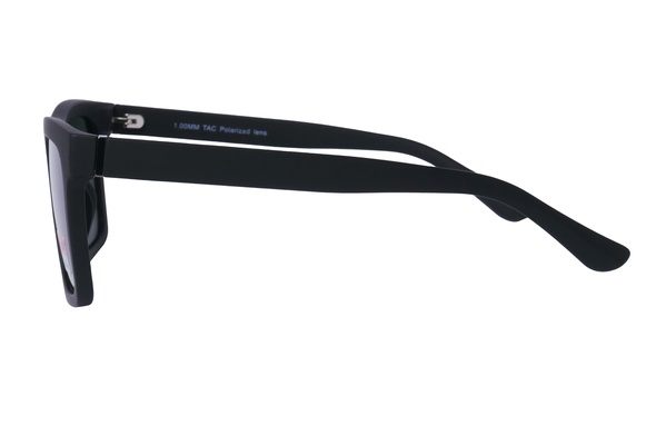 Polarview PV 650 C