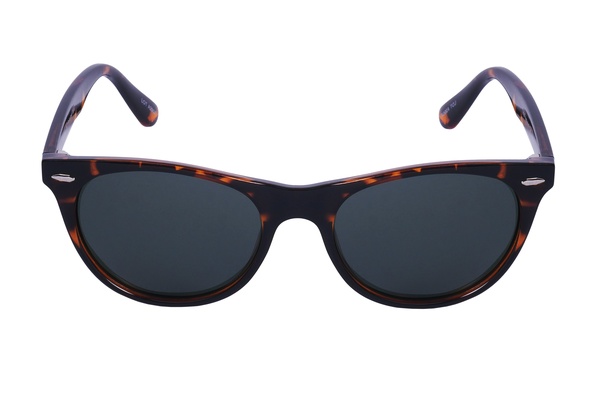 Polarview PV 70 B