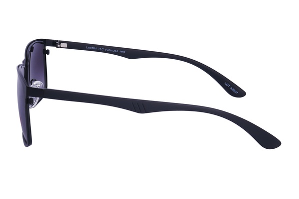 Polarview PV 500 A