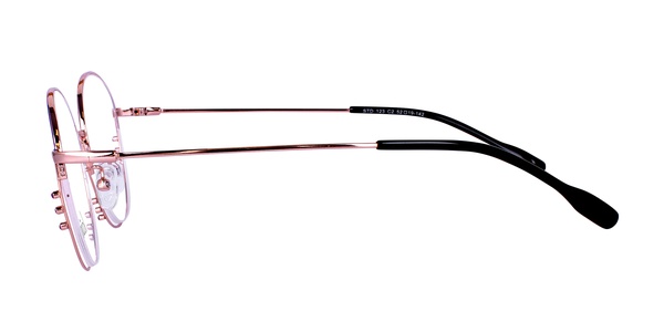 Icone STD 123 C2 52-19