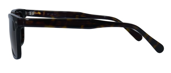 Icone GF 105 C2 54-20