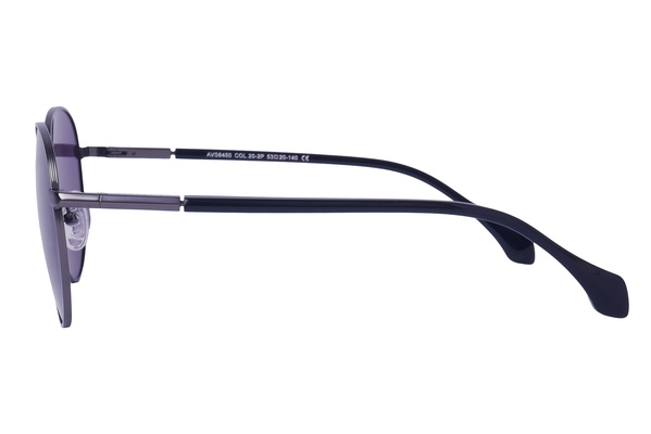 Avanglion AVS 6450 20-2P 53-20