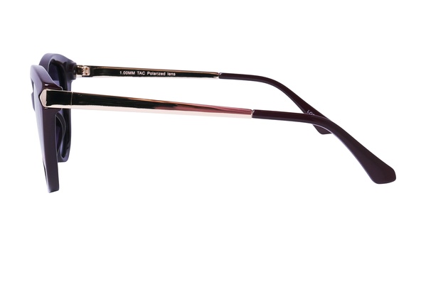 Polarview PV 850 F