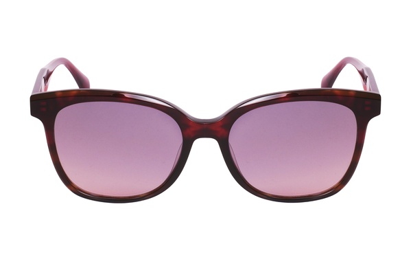 Vertice MZ 2010 C2 54-17