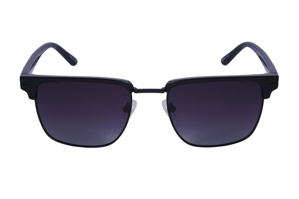 Polarview PV 310 A