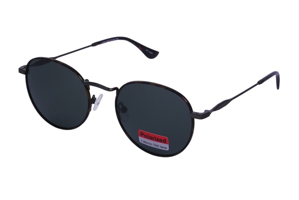 Polarview PV 710 B
