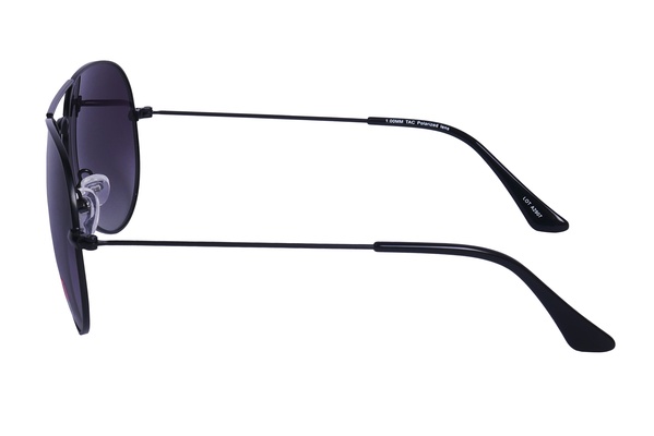 Polarview PV 20 A