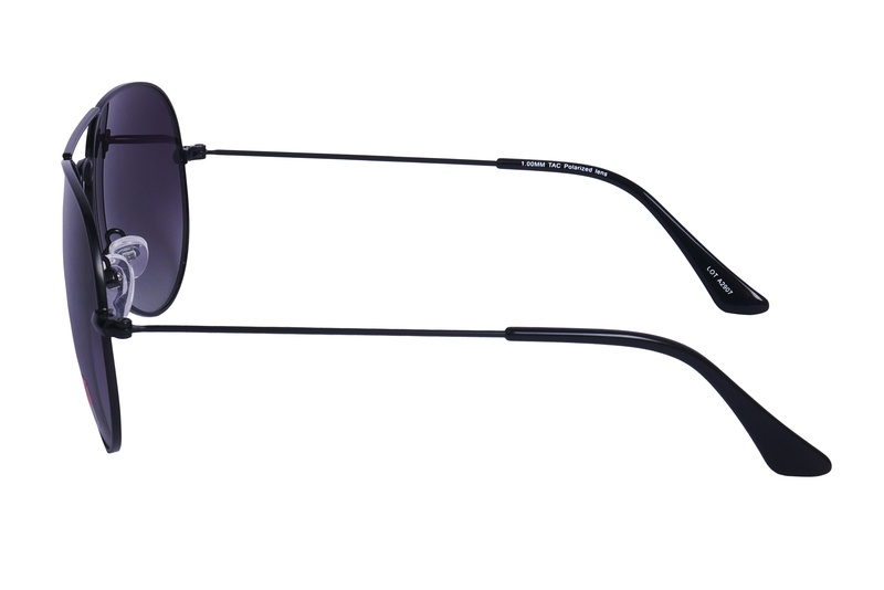 Polarview PV 20 A