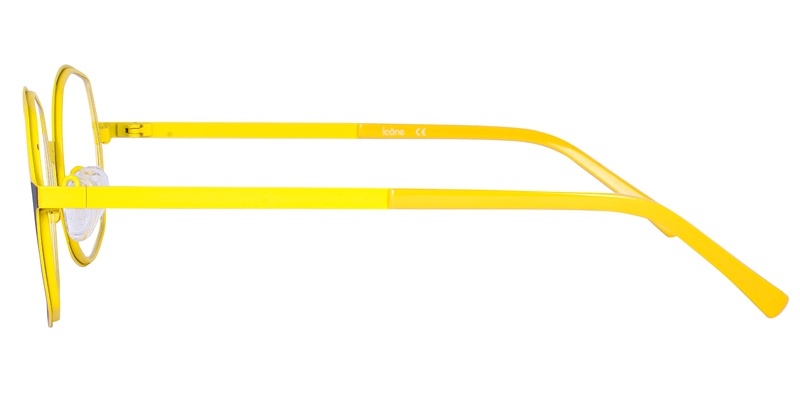 Icone 96127 C5 49-20