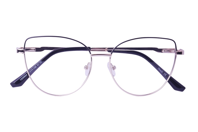 Trendy V 230924 C1 53-17