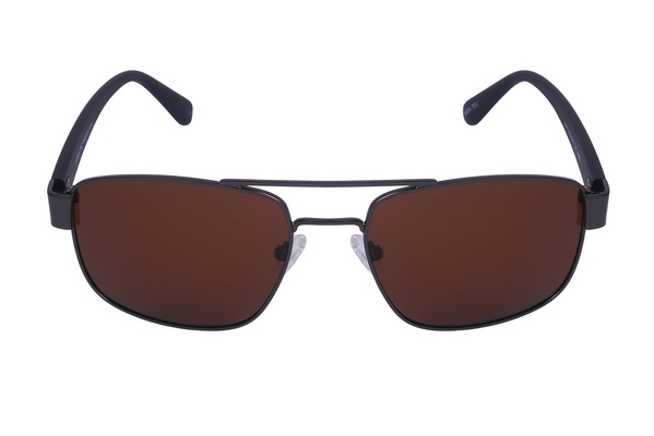 Polarview PV 520 C