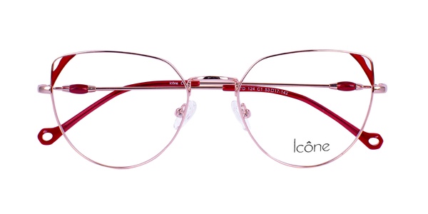 Icone STD 124 C1 53-17