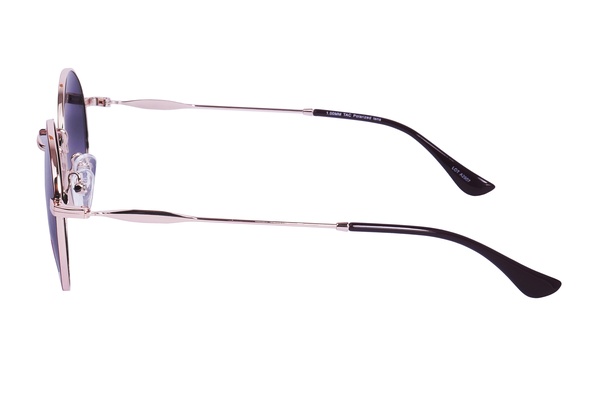 Polarview PV 700 C
