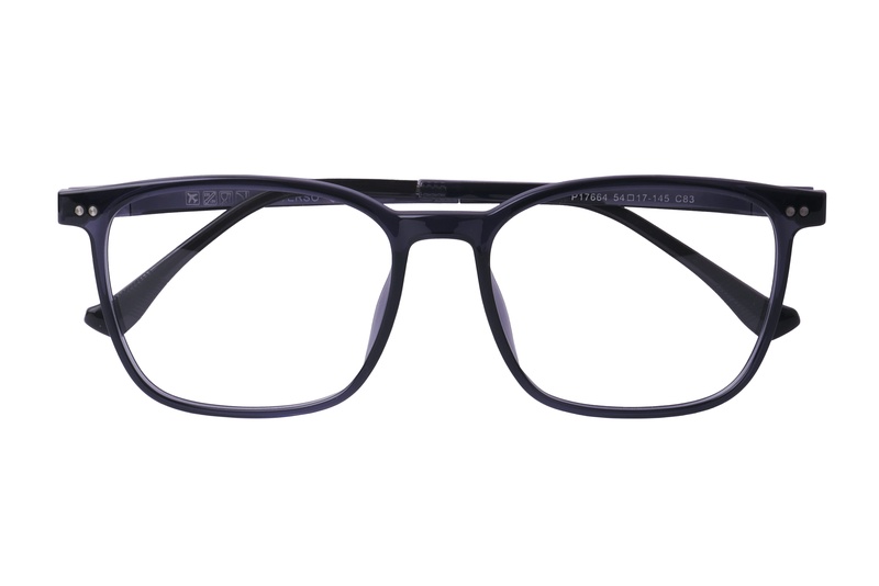 Diverso P 17664 C83 54-17