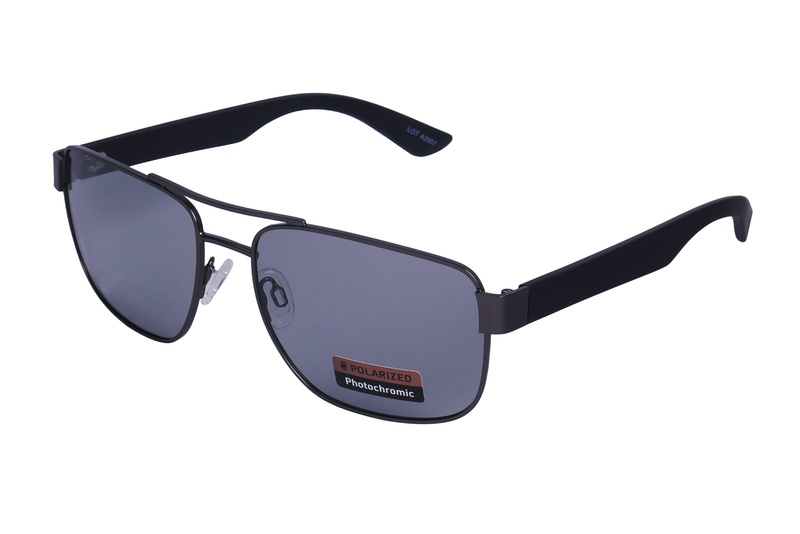 Polarview PV 530 F