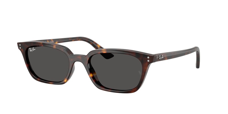 Rayban RB 4456 1359/87 53