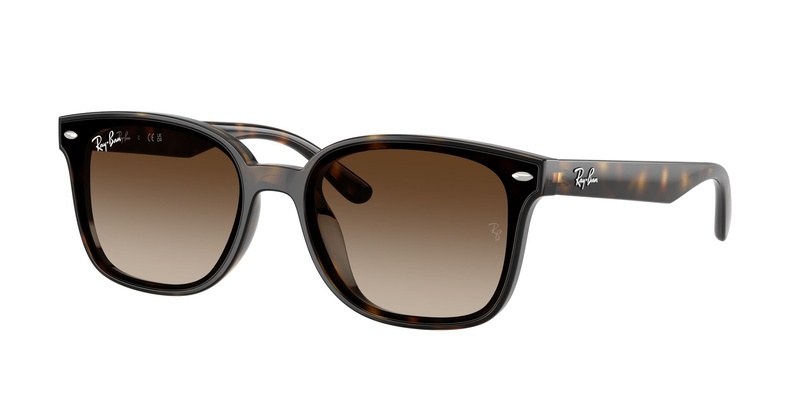Rayban RB 4461D 710/13 64-17