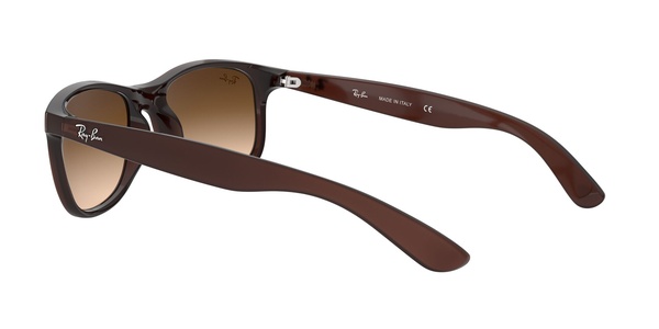 Rayban RB 4202 6073/13 55-17