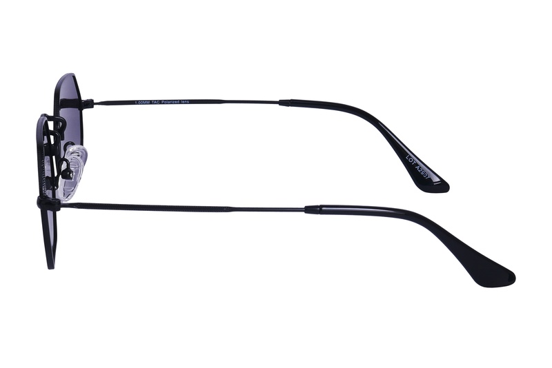 Polarview PV 110 C