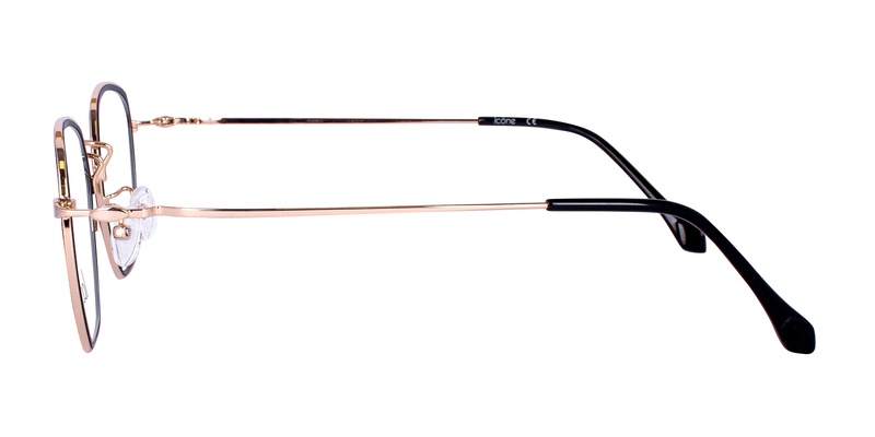 Icone 95702 C1 50-20