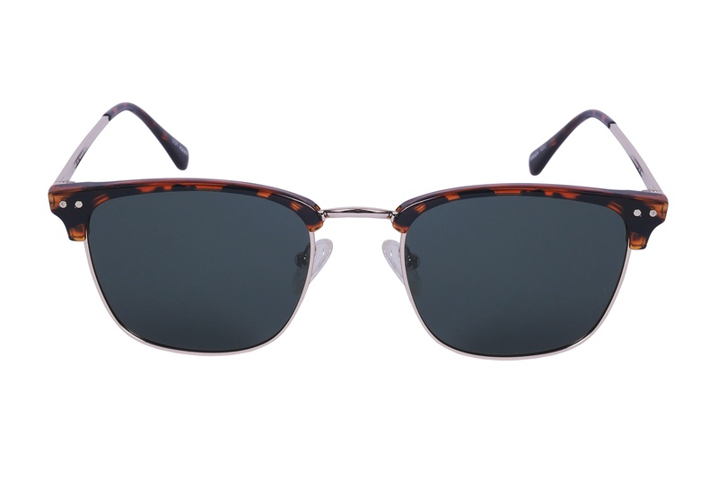 Polarview PV 300 B