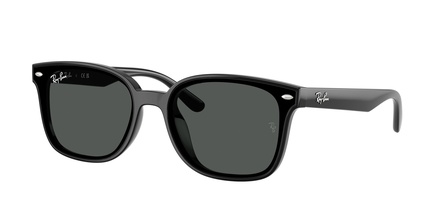 Rayban RB 4461D 601/87 64-17