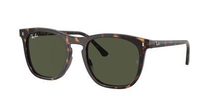 Rayban RB 2210 902/31 53-21
