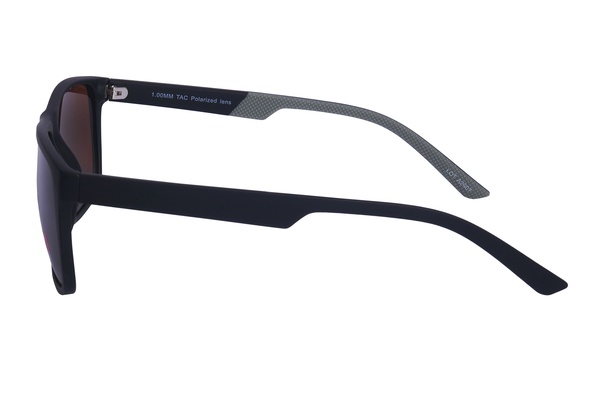 Polarview PV 620 B