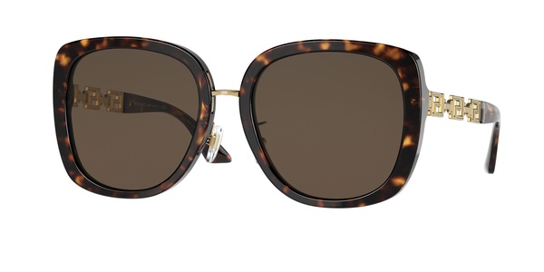 Versace 4407D 108/73 56-19