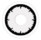 Clearcolor Phantom 1Day Angelic White FN104N (2p)