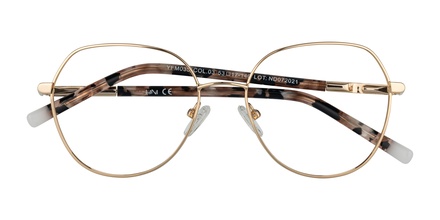 H1N1 YFM 035 03 53-17