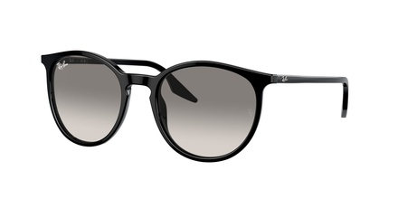 Rayban RB 2204 901/32 54-20