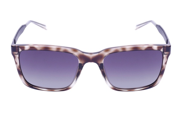 Polarglare PG 6088C BROWN TORT 55-19