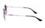 Polarview PV 700 C
