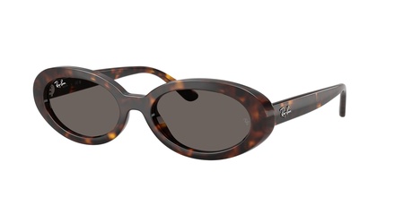 Rayban RB 2223 902/B1 54-19
