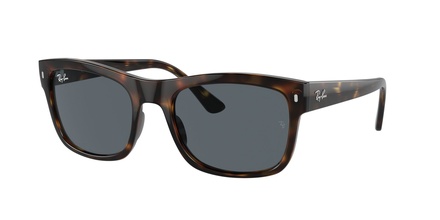 Rayban RB 4428 710/R5 56-21