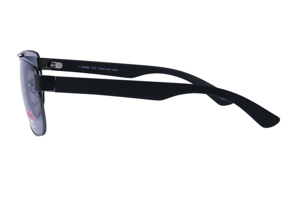 Polarview PV 530 F
