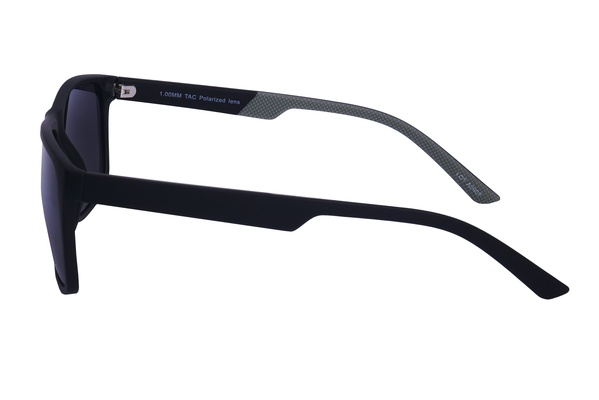 Polarview PV 620 A